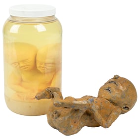 Sideshow Two Headed Baby “Pickled Punk” Display Jar. Silico...