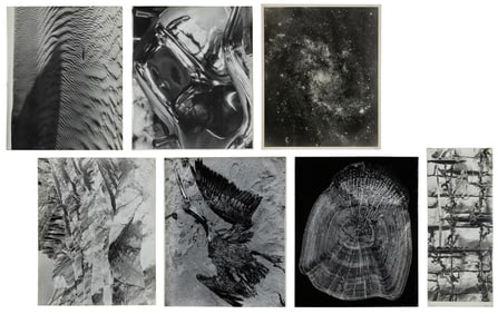 Herman Miller Design Reference Photos. 1950s. Twenty black ...