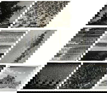 Herman Miller Design Reference Photos. Fifteen black and wh...: Herman Miller Design Reference Photos. Fifteen black and white photographs featuring scenes in nature, showcasing the use of texture and repetitive compositions. Sheets measure 16 x 20”.