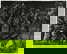 item-206215483=8