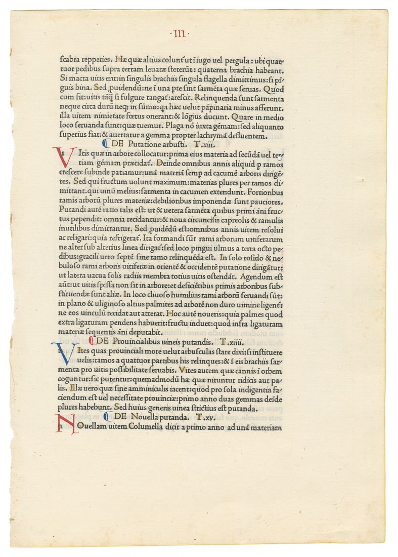 [EARLY PRINTING]. PALIADIUS, Rutilius. Printed Leaf from “D... (1 of 1)