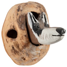 Raccoon Head Sticking its Head Out of a Burl Hole. Not date...