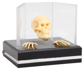 Anverdi Talking Skull. Holland: Anverdi, 1970s. A miniature...