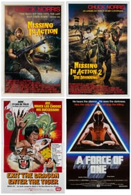 Group of Action / Martial Arts Movie Posters. Eight one-she...