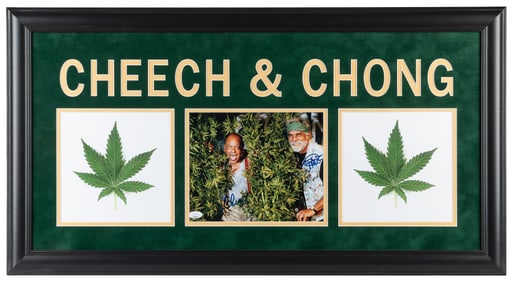 Cheech & Chong Signed Photo (JSA). Color 8 x 10” photo sign...