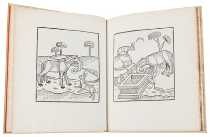 [CHILDREN’S AND ILLUSTRATED BOOKS]. [FABLES]. Das Buch der ...