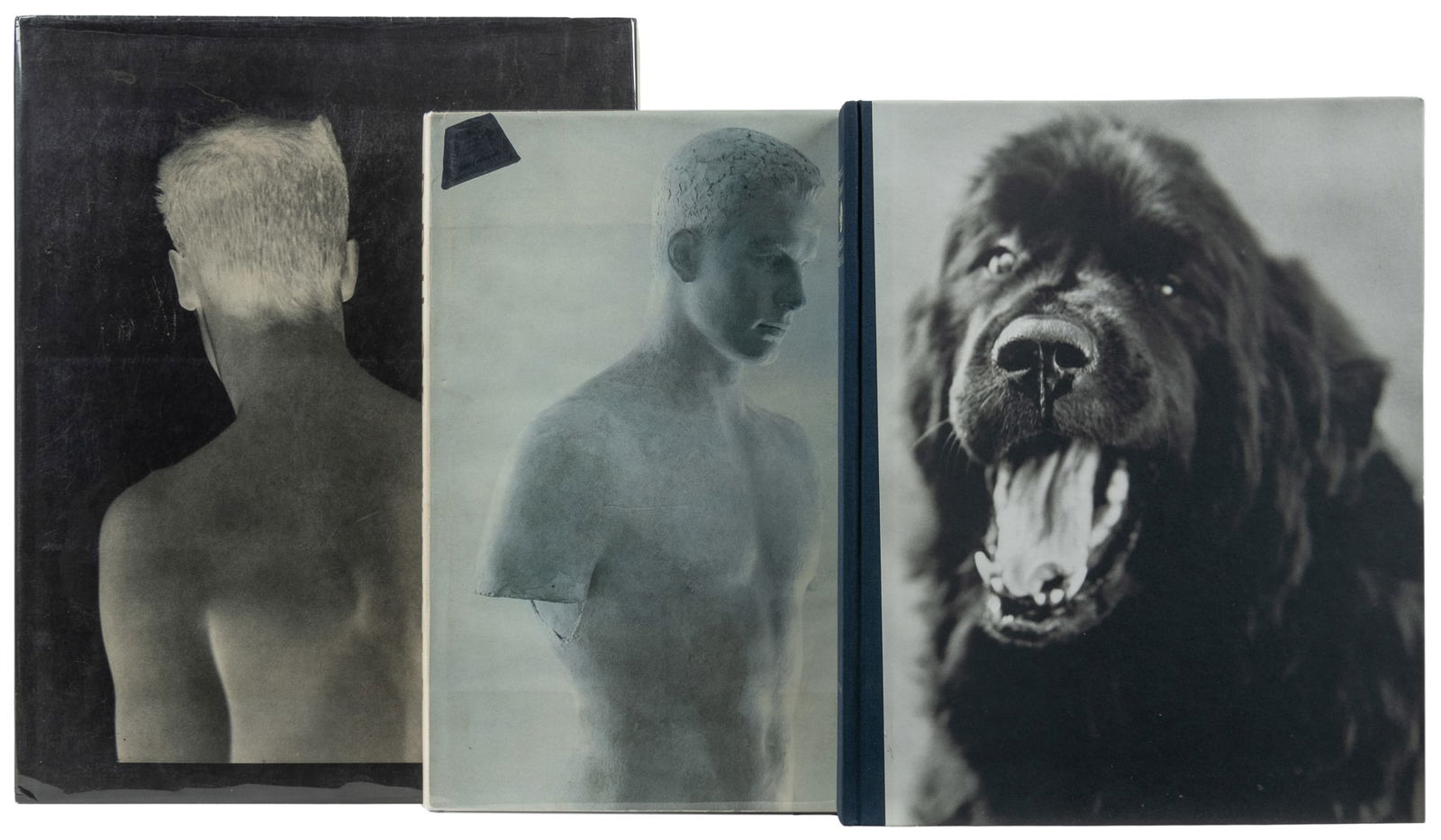 Bruce Weber Moon Zappa, 1985