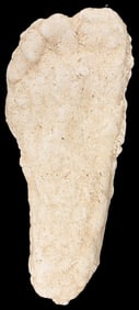Plaster Cast of Big Foot / Sasquatch Footprint. White plast...