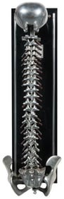 Fleet’s Spinal Demonstrator. Model. No. 9. San Antonio: Thu...