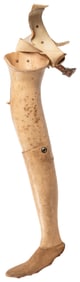 Medical Leg Prosthetic. N.p., 20th century. Hard plastic fu...