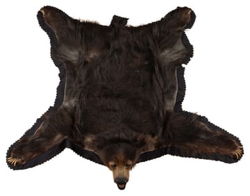 Sloth Bear Taxidermy Rug. With felted backing. 64 x 56 x 8”...