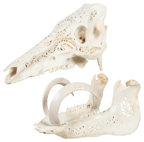 Decorative Scroll Work Boar Skull. Presumably Indonesian, l...