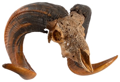 [TAXIDERMY]. Decoratively Carved Ram Skull. Intricately car...