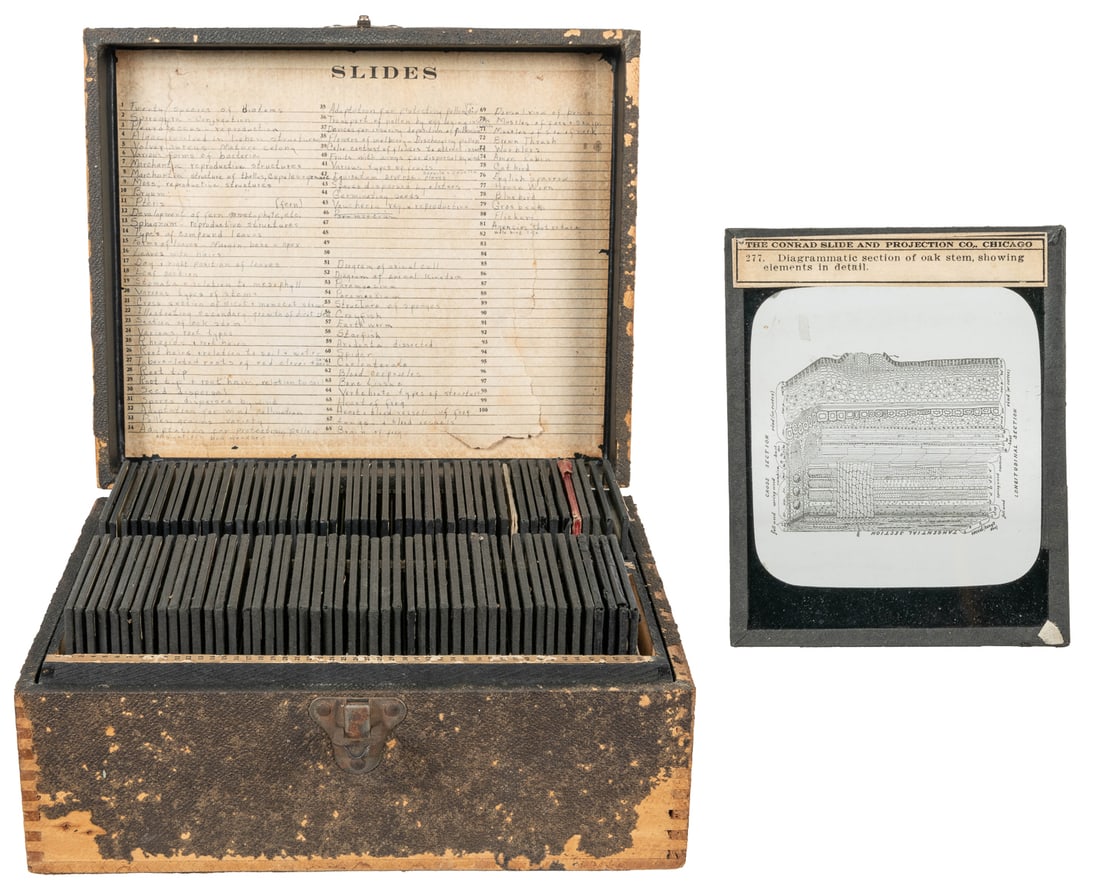 Group of Nearly 100 Glass Slides of Scientific Diagrams. [N...: Group of Nearly 100 Glass Slides of Scientific Diagrams. [N.p., ca. 20th century]. Glass slides, many with captions affixed. Each slide approximately 4 x 3 ¼”. All with neat taped margins. 