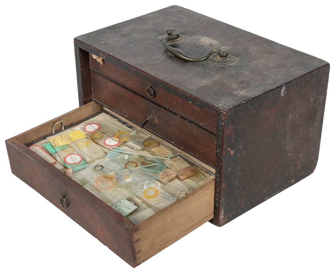 Group of Nearly 300 Glass Microscope Slides of Plants, Bact... (1 of 2)