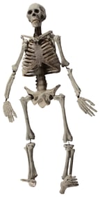 [FOLK ART]. Odd Fellows Papier-Mâché Skeleton. (I.O.O.F.). ...