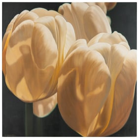GODFREY, Winifred (American, 1944 – ). Untitled (Tulips). S...