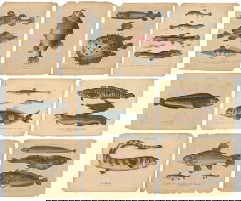 WILKES, John (British, 1766 – 1821). Ten Fish Engravings fr...