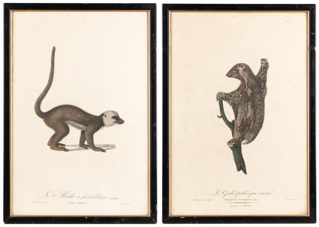 [MAPS AND PRINTS]. AUDEBERT, Jean Baptiste. Pair of Hand-Co... (1 of 3)