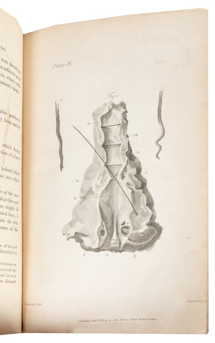 [MEDICINE]. BELL, Sir Charles. Letters Concerning the Disea...: [MEDICINE]. BELL, Sir Charles. Letters Concerning the Diseases of the Urethra. London: John Murray, 1810. 8vo. 6 engraved plates. 149, [2, ads] pp. Modern quarter green levant morocco over marbled boa