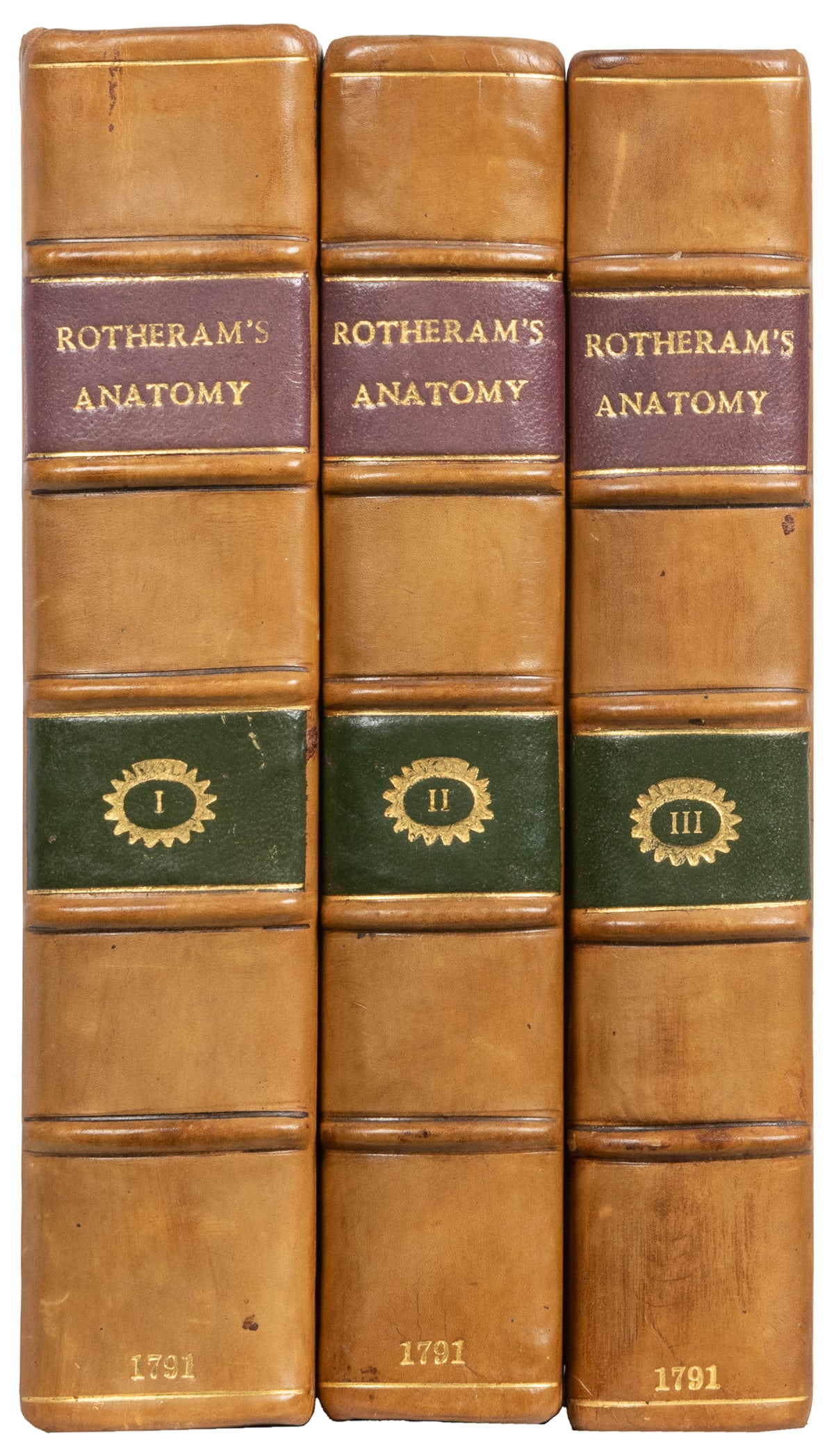 [MEDICINE]. [ROTHERAM, John, editor]. A System of Anatomy a... (1 of 2)