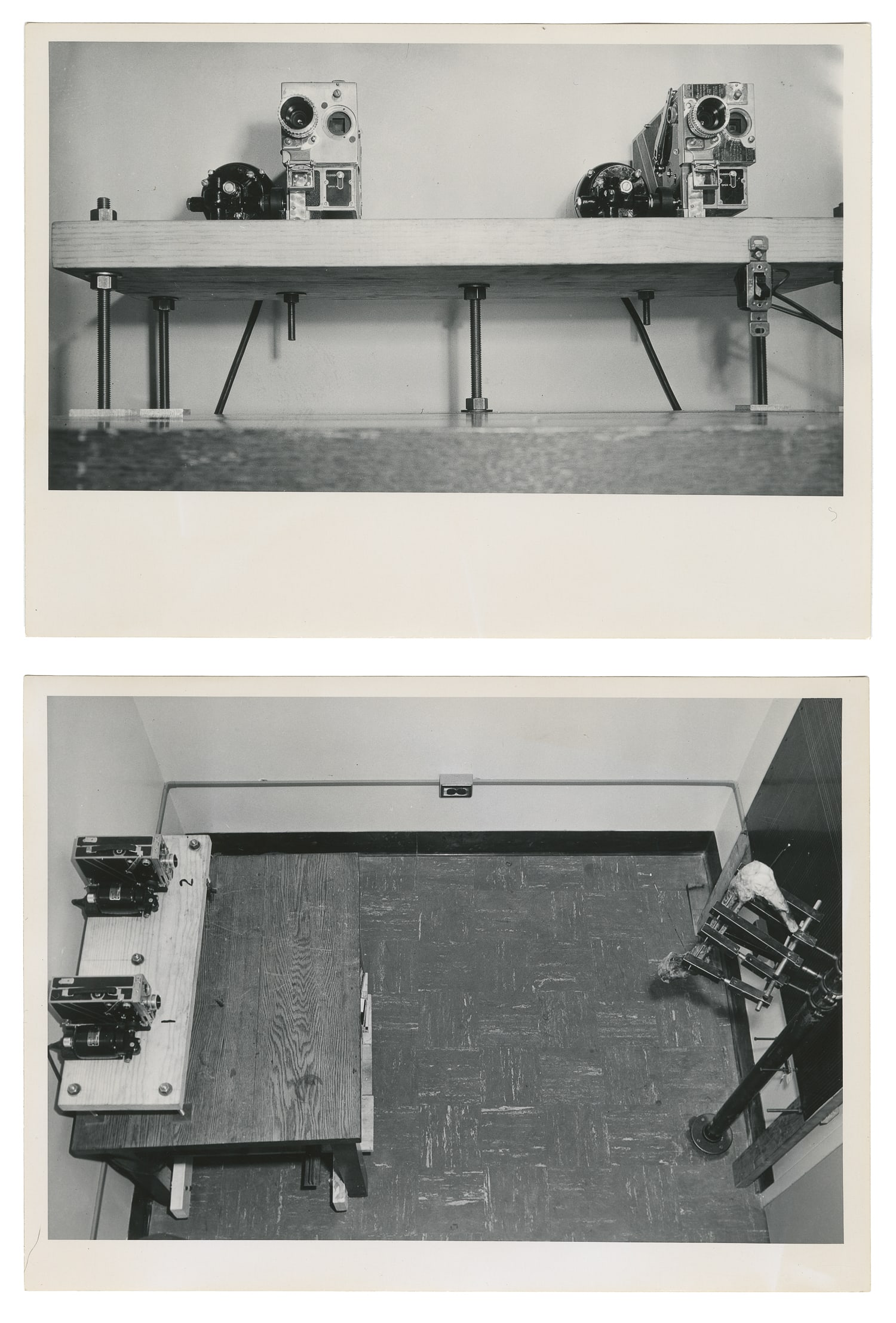 Medical Imaging Experiment Photographs / Severed Human Leg. Circa 1950s. (1 of 2)