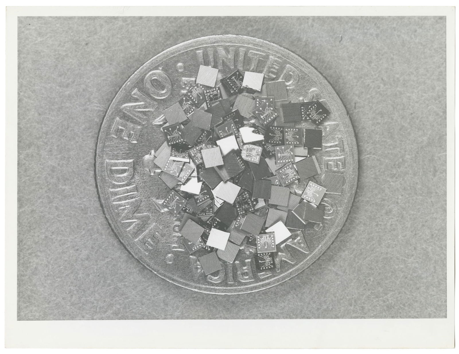 Lab Rat & Microchip Testing Photos.  - 4