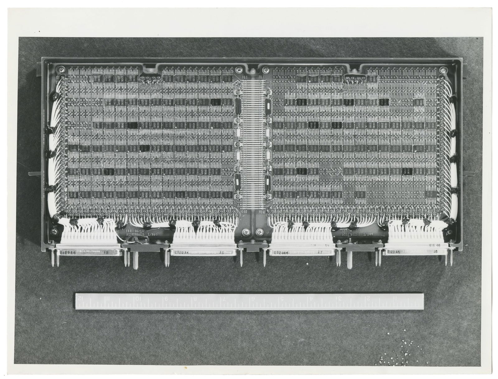 Lab Rat & Microchip Testing Photos.  - 5