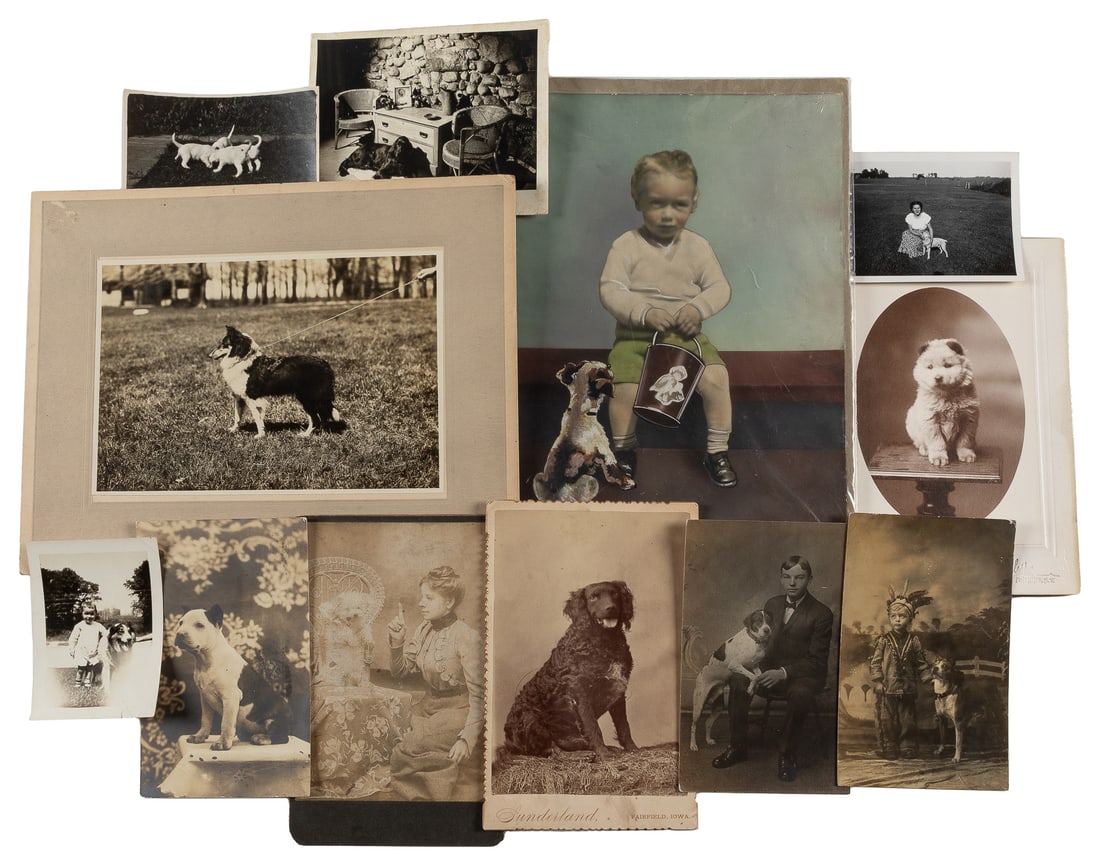Assorted Photographs & RPPCs Featuring Dogs.  (1 of 1)