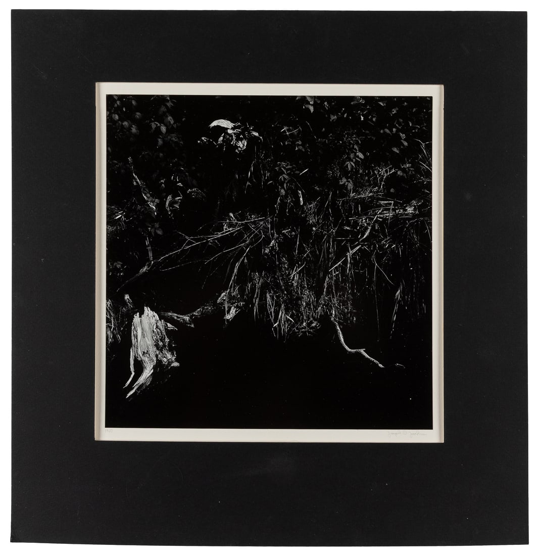 JACHNA, Joseph D. (American, 1935‚Äì2016). Wisconsin - 1967.  (1 of 11)