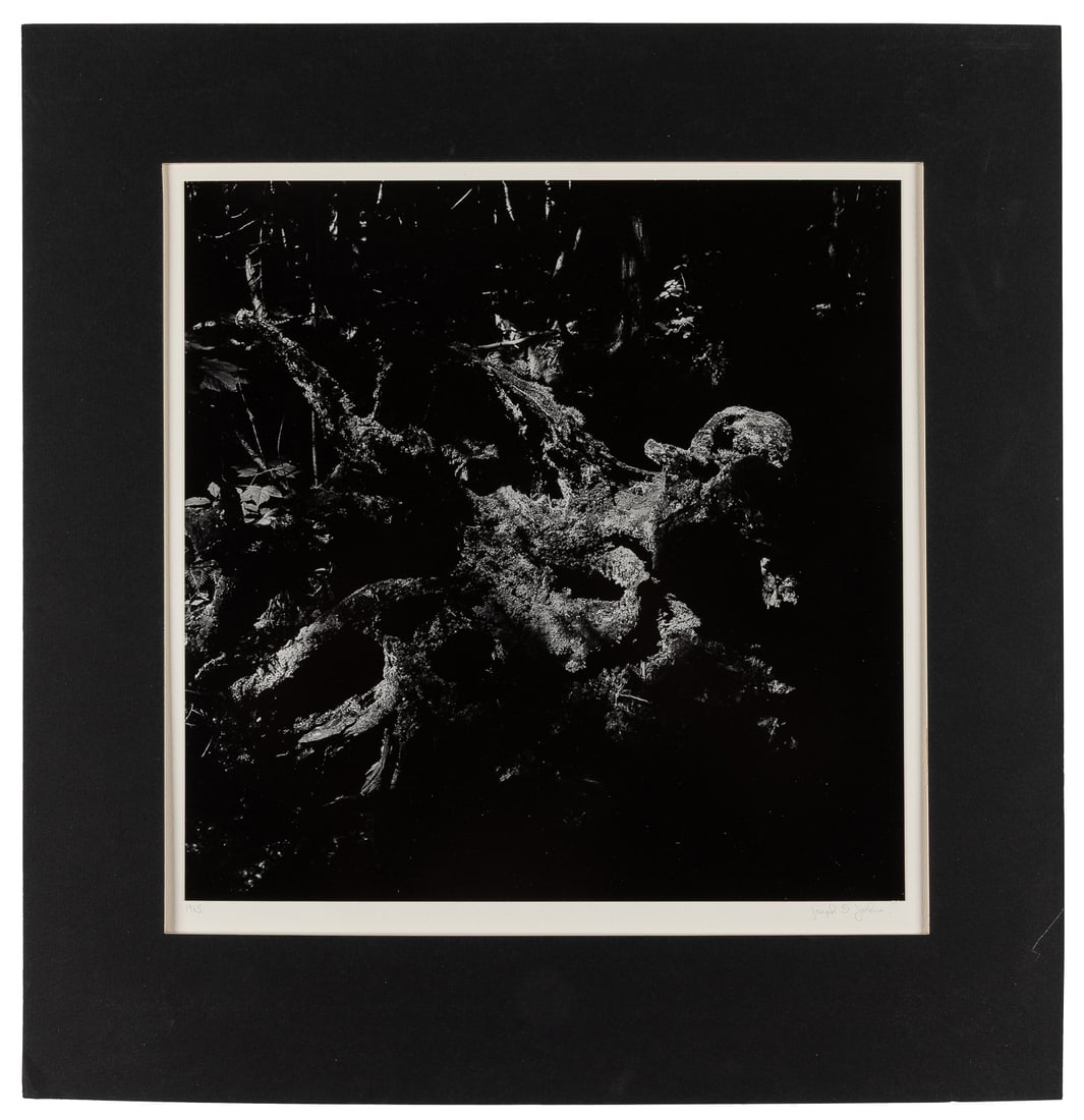 JACHNA, Joseph D. (American, 1935‚Äì2016). Minnesota - 1965.  (1 of 9)