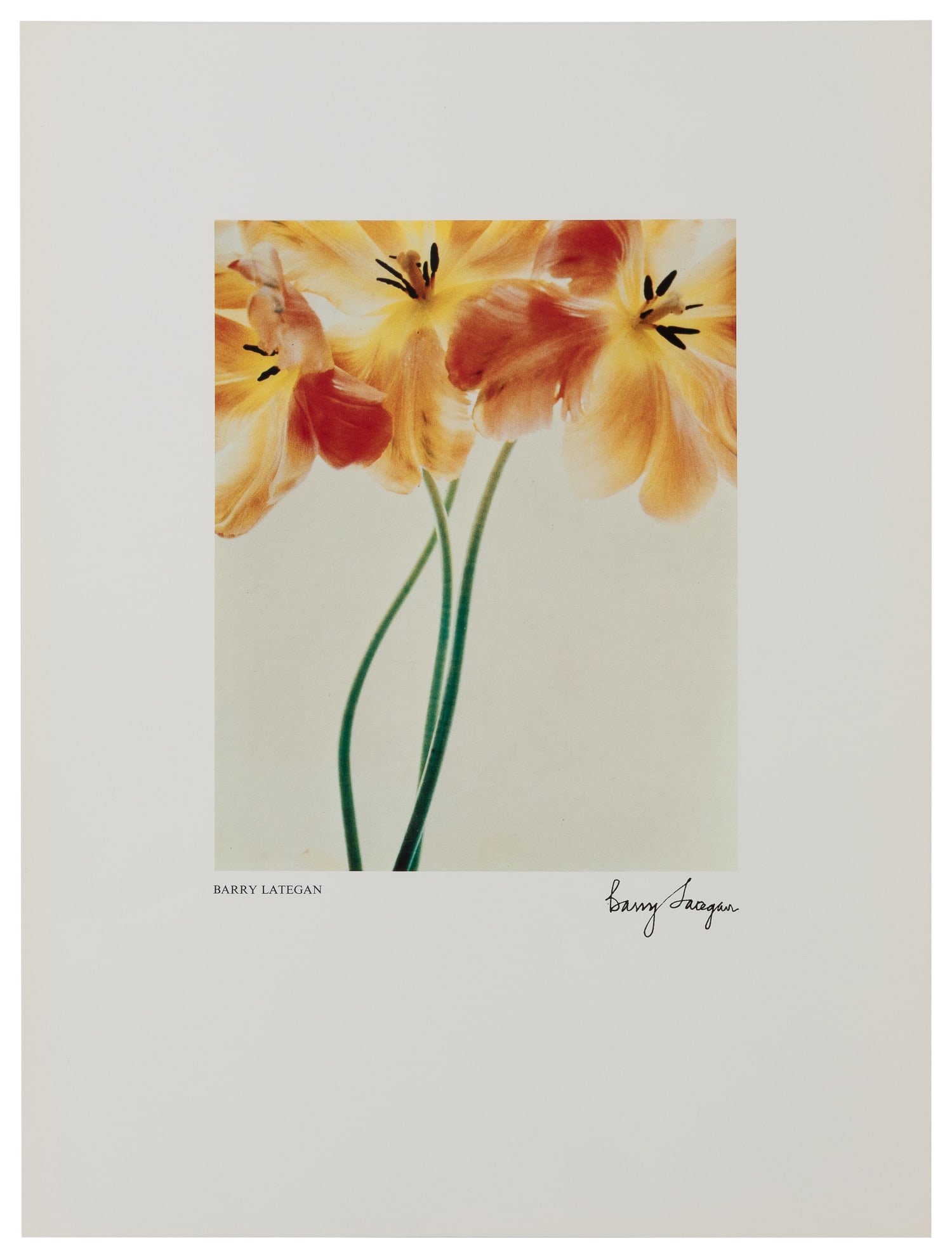 [POLAROID]. Instant Variations. - 6