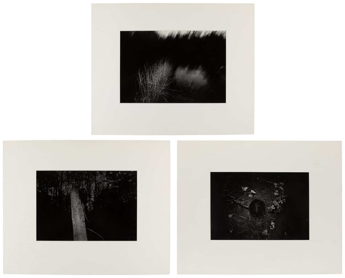 JACHNA, Joseph D. (American, 1935‚Äì2016). Goodman Park - 1976. (Series of 3 Photogr (1 of 7)