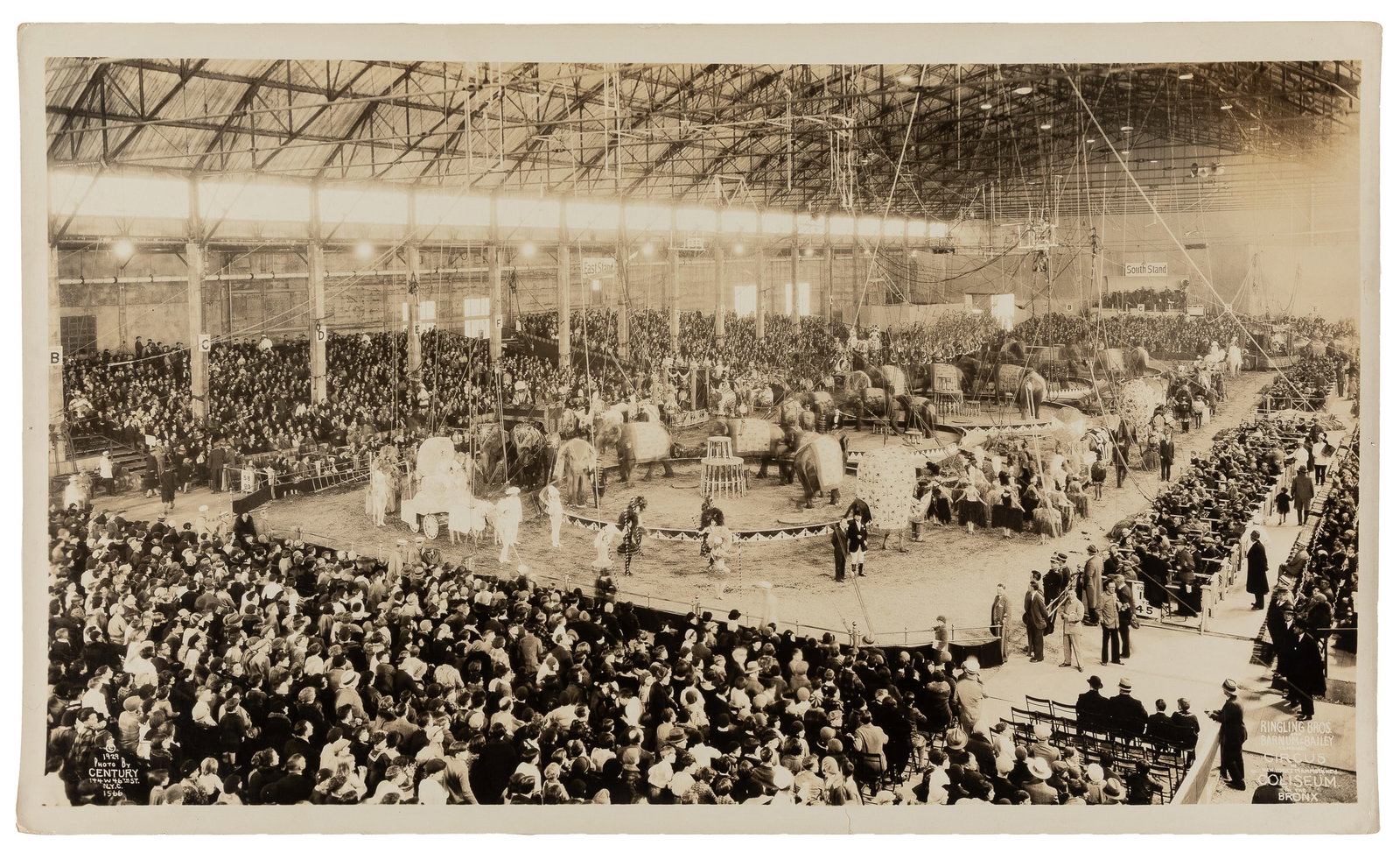 Kelty, Edward J. (1888‚Äî1967). Ringling Bros. and Barnum & Bailey Combined Circus i (1 of 1)