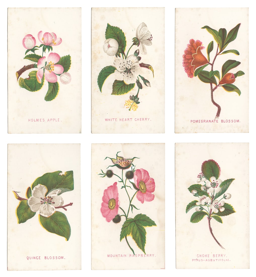 Louis Prang & Company Published Chromolithographic Card & Ephemera Album: PRANG, LOUIS. 1824-1909. Louis Prang & Company Published Chromolithographic Card & Ephemera Album. Boston: L. Prang & Co., late 19th/early 20th century. Binder of approximately 77 items total, includi