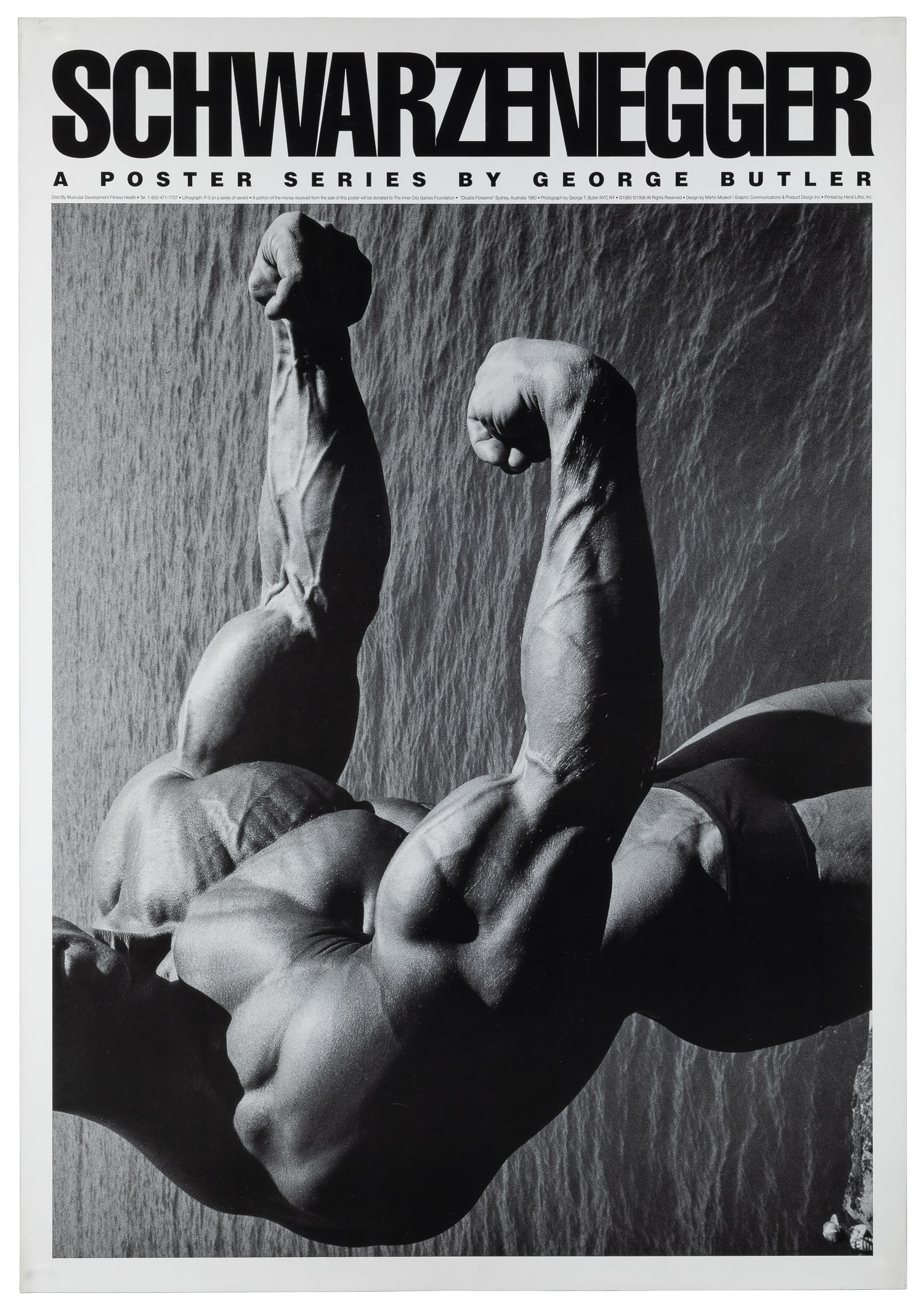 Schwarzenegger: A Poster Series by George Butler. Two posters.: Schwarzenegger: A Poster Series by George Butler. Two posters. 1996. Herst Litho Two posters, from a series of seven, after bodybuilding photographs of Arnold Schwarzenegger by Butler. Paper. 39 x