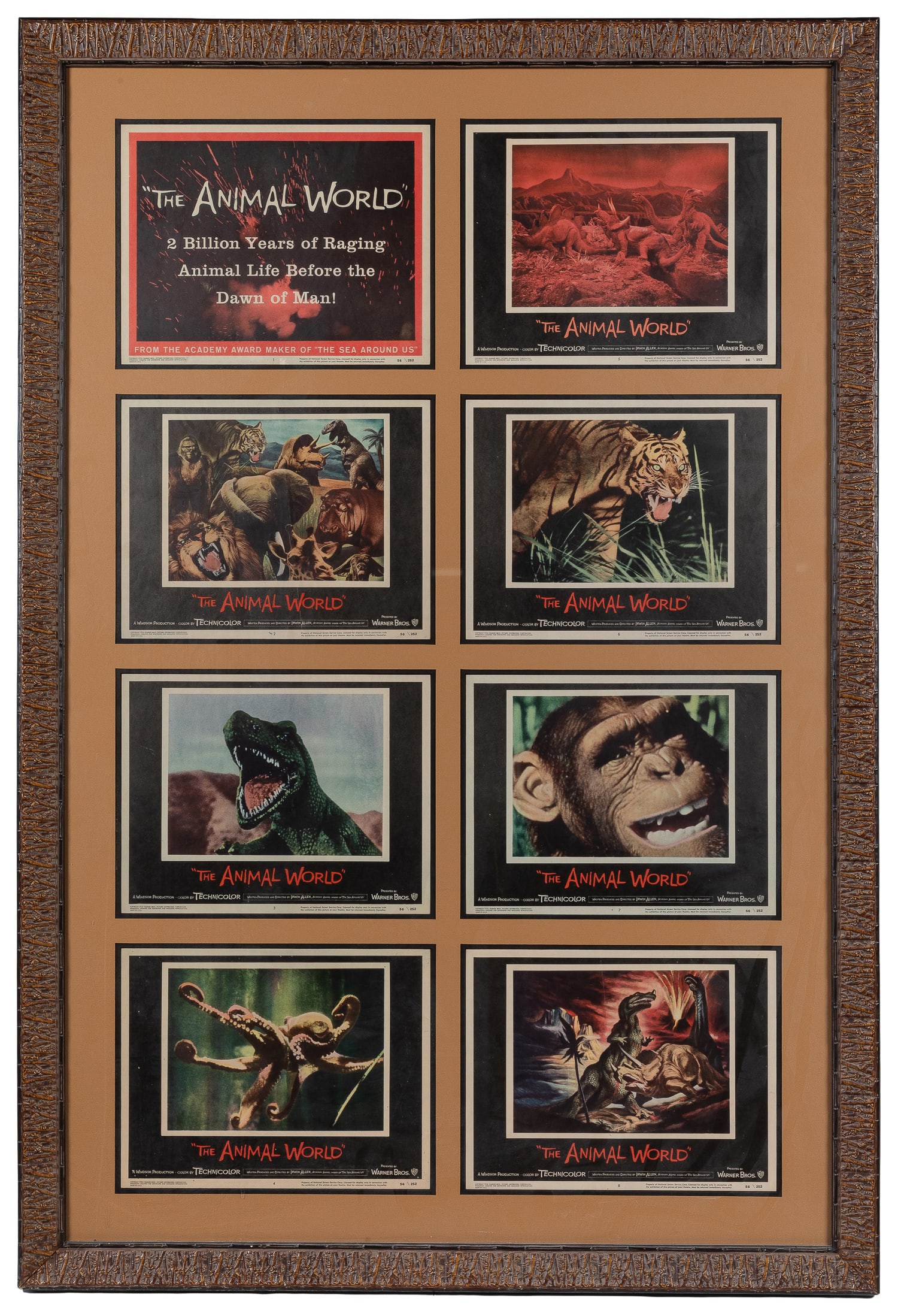 The Animal World framed lobby card display.: The Animal World framed lobby card display. Warner Bros., 1956. Set of 8 lobby cards for the documentary on "2 billion years of raging animal life before the dawn of man."Framed and matted, 55 x 37