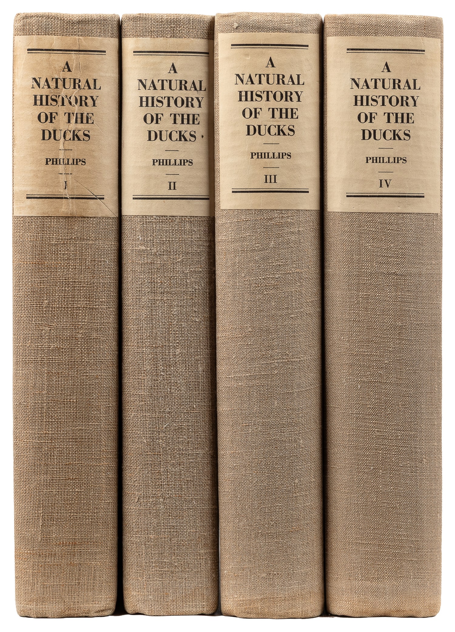 [ILLUSTRATED BOOKS]. PHILLIPS, John C. (1876-1938). A Natural History of the Ducks... Boston: (1 of 3)