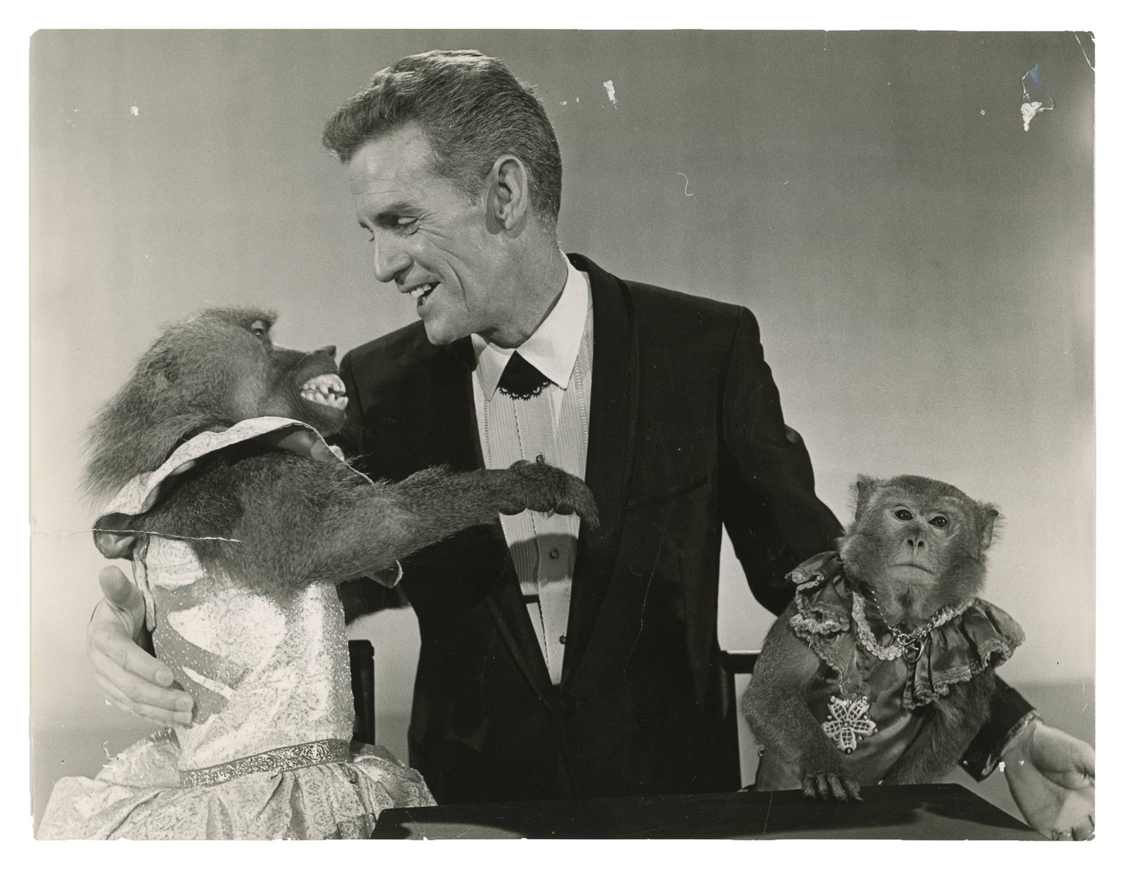 Archive of Simian Snapshot Photography. Circa 1940s - 1980’s. (1 of 14)