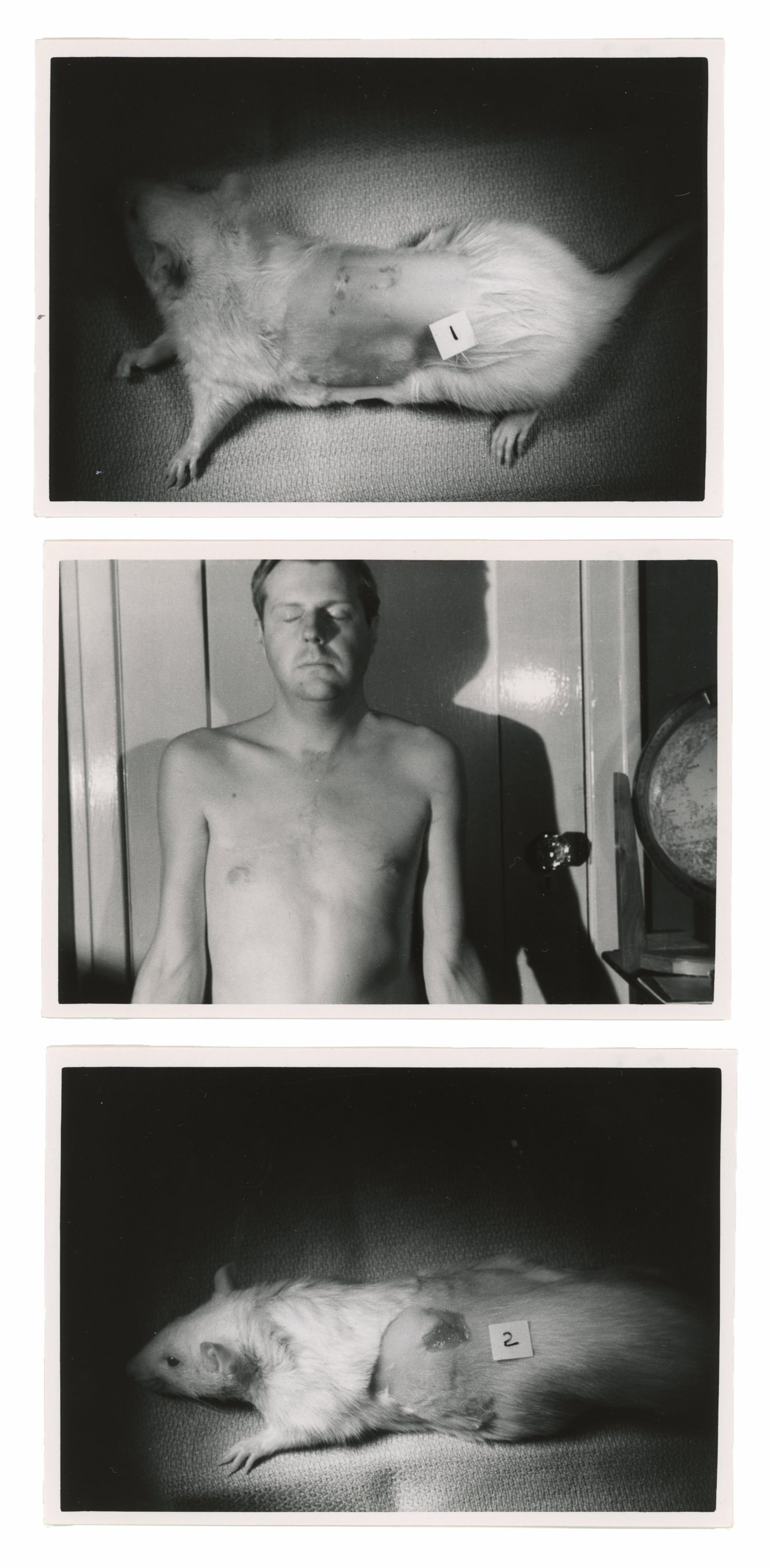 Bizarre Images of Experimental Animal and Human Surgery. Circa 1968. (1 of 19)