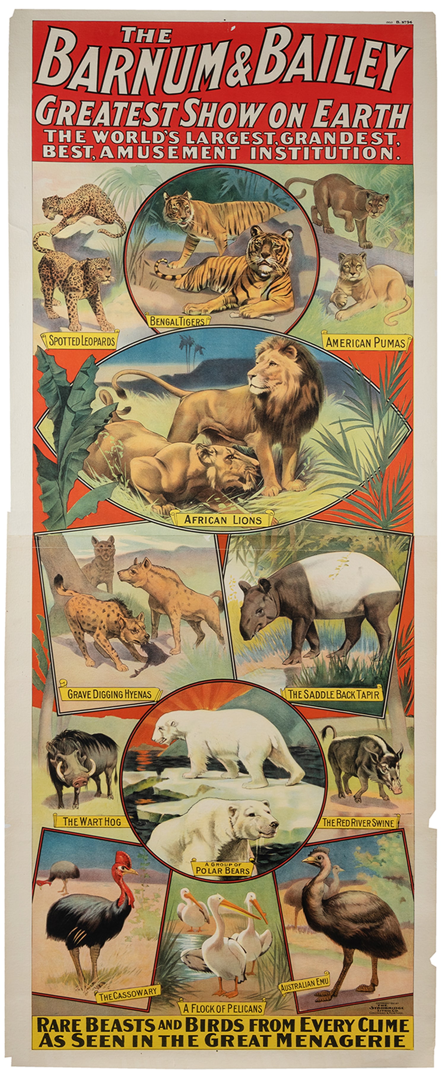 Ringling Bros. and Barnum & Bailey Circus / Rare Beasts and Birds. Cincinnati & New York: Strobridge (1 of 1)