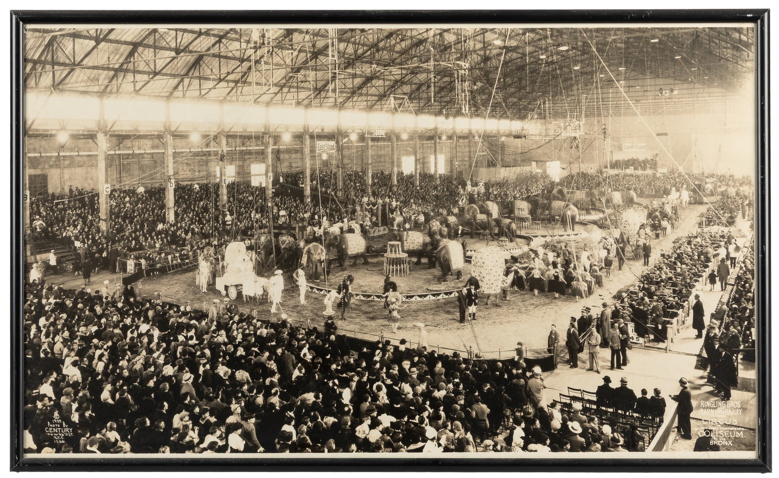 KELTY, Edward J. Ringling Bros. and Barnum & Bailey Combined Circus in New York's Mammoth New (1 of 1)