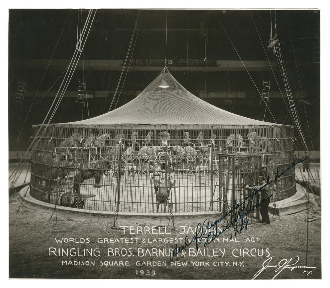 Terrell Jacobs signed photograph.: Terrell Jacobs signed photograph. 1939. Silver print photo, titled and dated in the negative, depicting Jacobs at Madison Square Garden at the center of a cage, surrounded by lions and tigers. Signed