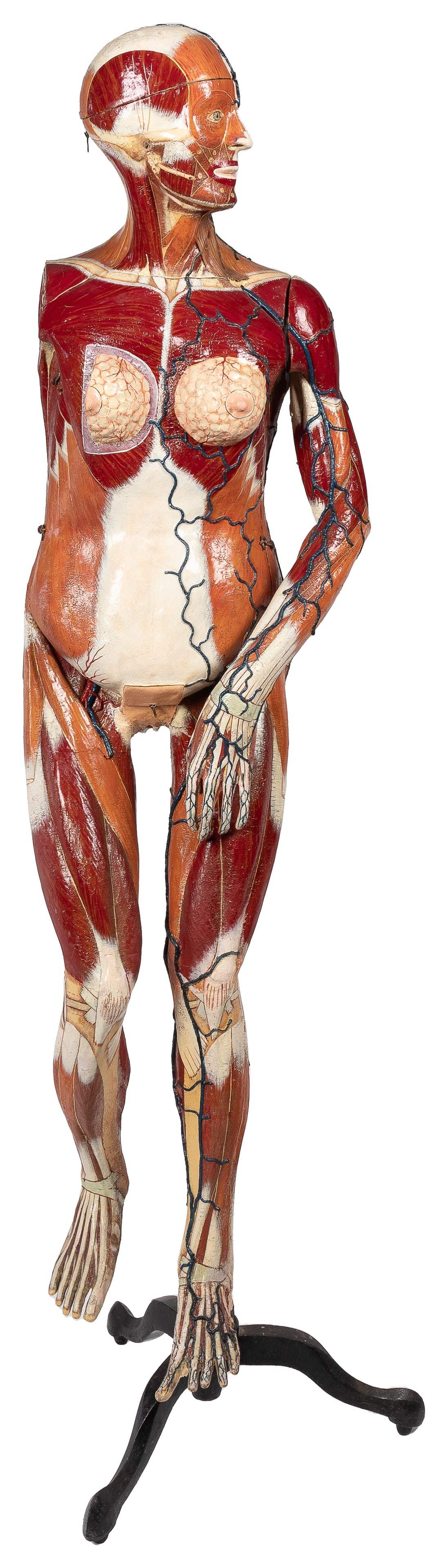 [ANATOMICAL MODEL]. Dr. Auzoux female anatomical model.: [ANATOMICAL MODEL]. Dr. Auzoux female anatomical model. France: Dr. Louis Thomas Jerome Auzoux, ca. early 20th century. Heavily detailed papier-mache educational model designed by French anatomist