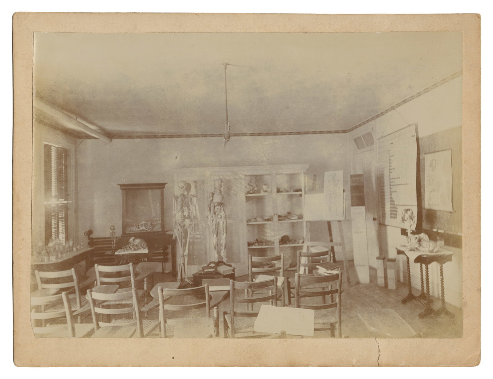 Mounted Photograph of an Anatomy Classroom. Circa early 20th century.: Mounted Photograph of an Anatomy Classroom. Circa early 20th century. Sepia-toned photograph showing an anatomy classroom with desks, a skeleton, and several other specimens. 6 1/2 x 8 1/2".