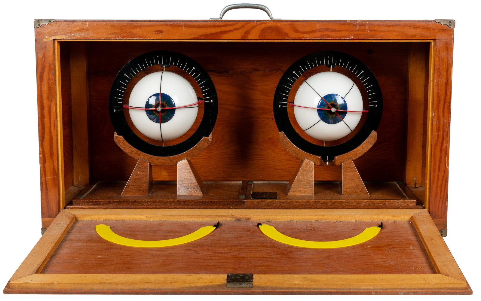 Two Large Eye Demonstration Models - 2