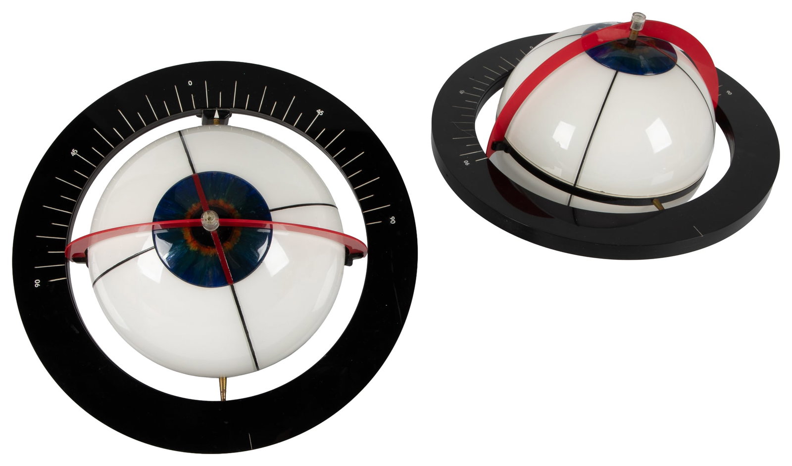 Two Large Eye Demonstration Models - 3