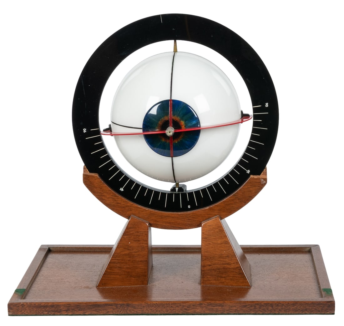 Two Large Eye Demonstration Models - 5
