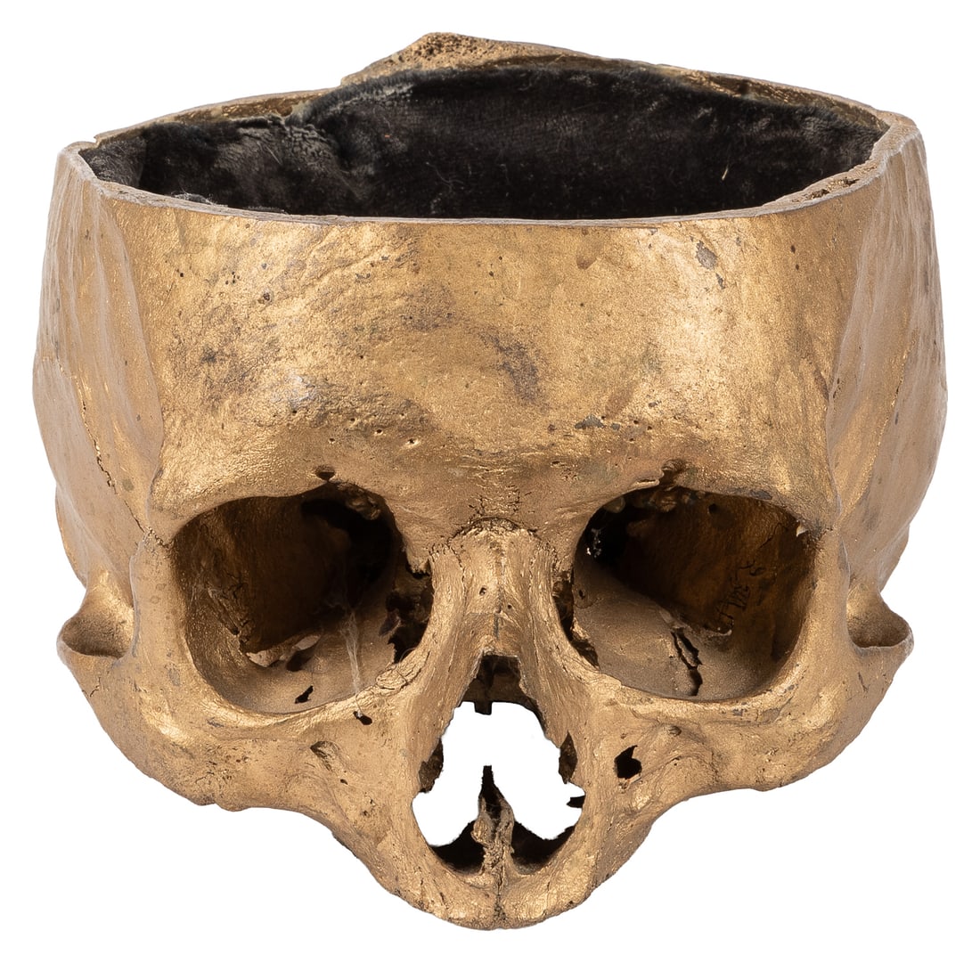 Human skull. - 2