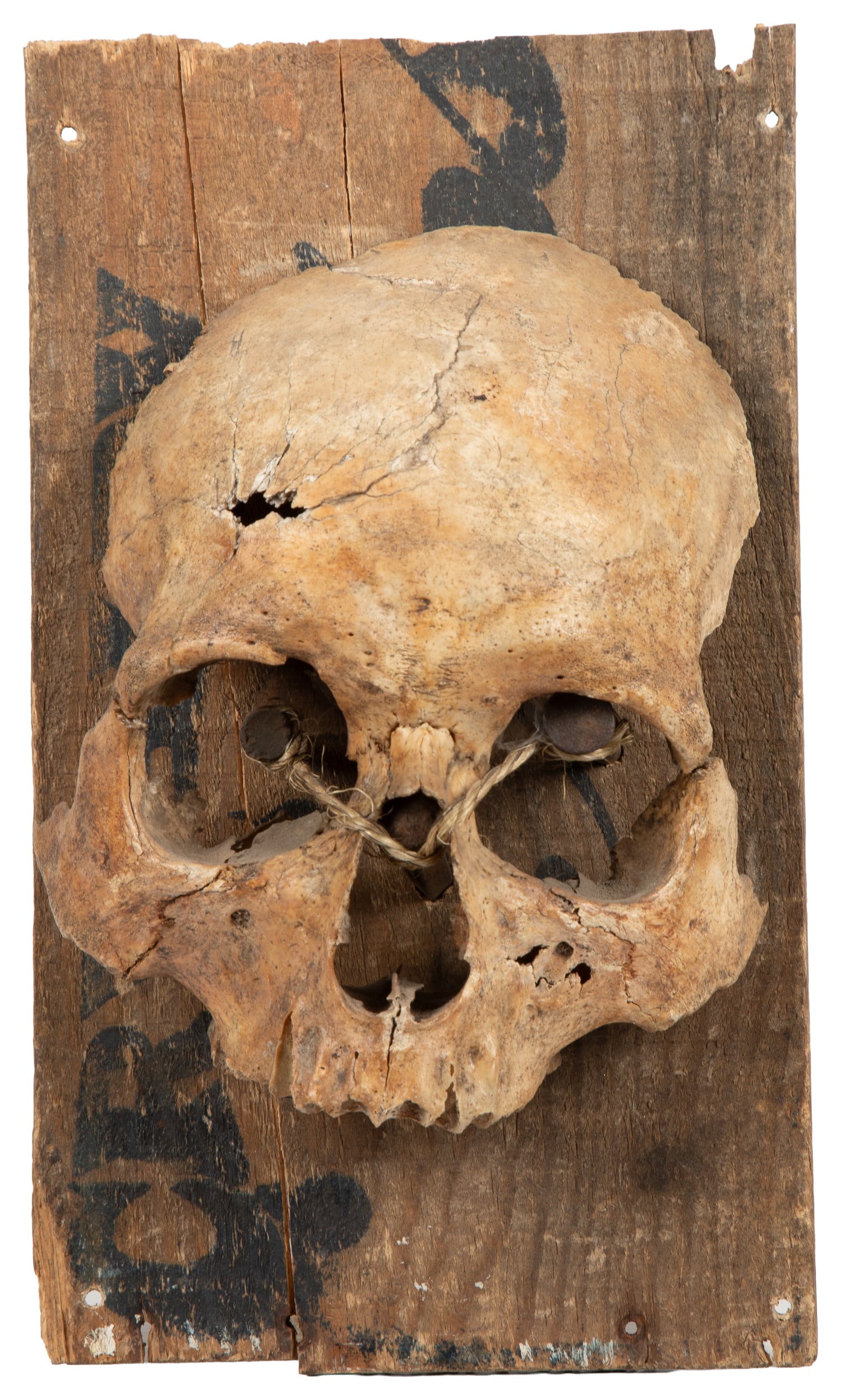 Partial human skull mounted to wooden board.: Partial human skull mounted to wooden board. Skull mounted to weathered wooden backing with black stenciled lettering; mounted with hardware and twine. 9 3/4 x 5 1/2 x 2".